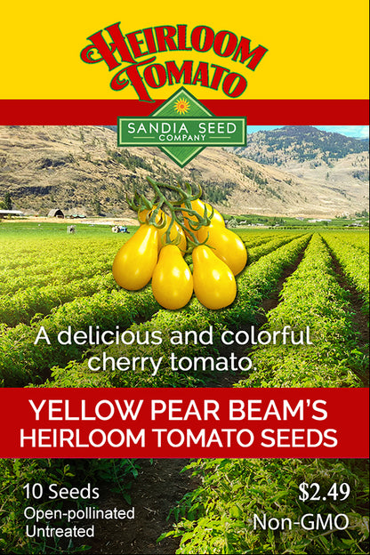 Tomato - Yellow Pear Beam's Heirloom Seeds