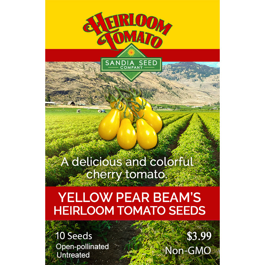 Yellow Pear Beam's Tomato Seeds - Bright Yellow Delicacies - Heirloom