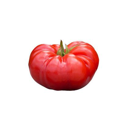 Beefsteak Tomato Seeds - Vigorous & Flavorful - Heirloom