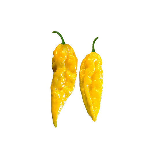 Yellow Ghost Pepper Seeds - Bhut Jolokia - High Heat and Citrus Flavor