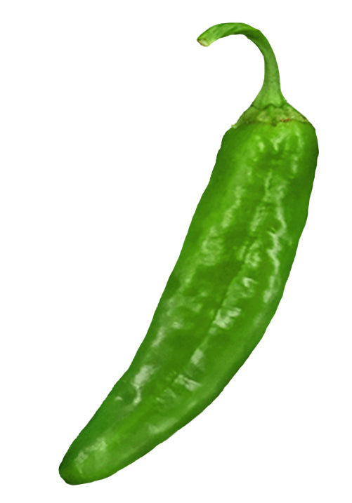 BULK Big Jim Legacy 1 lb. Chile Seeds