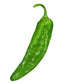 BULK Big Jim Legacy 1 lb. Chile Seeds