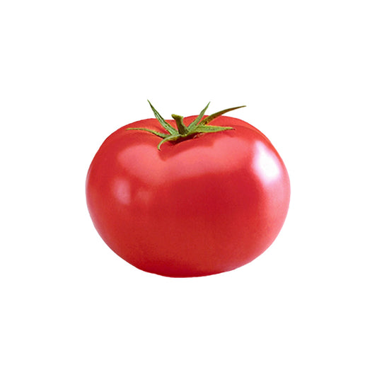 Big Beef F1 Tomato Seeds - Delicious and Juicy - Disease Resistant hybrid tomato with smooth red skin, ideal for slicing and home gardens.
