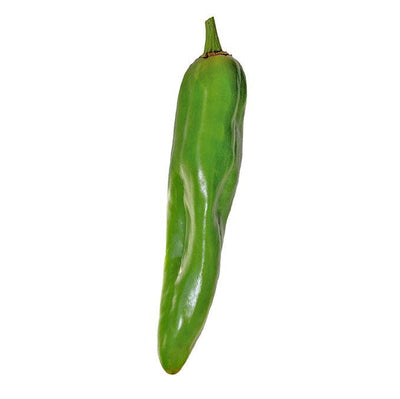 Big Jim NuMex green chile pepper with glossy skin, known for medium heat and ideal for chile rellenos. A top heirloom from New Mexico.