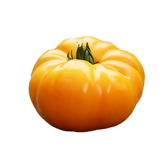 Tomato - Brandywine Yellow Heirloom Seeds - NEW!