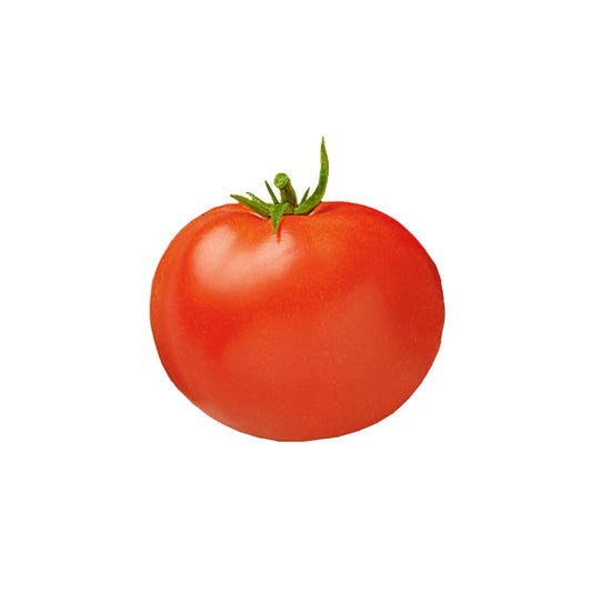 Celebrity Hybrid Tomato Seeds - High Yield, Great Flavor, and Disease Resistant