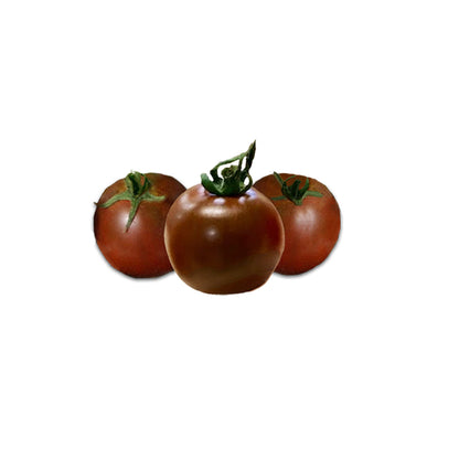 Three ripe Chocolate Cherry heirloom tomatoes with rich reddish-brown skin, showcasing their sweet and earthy flavor profile.