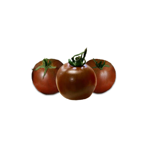 Three ripe Chocolate Cherry heirloom tomatoes with rich reddish-brown skin, showcasing their sweet and earthy flavor profile.