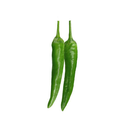 Dynamite Green Chile Seeds - Extra Hot Variety at 12,000 Scoville
