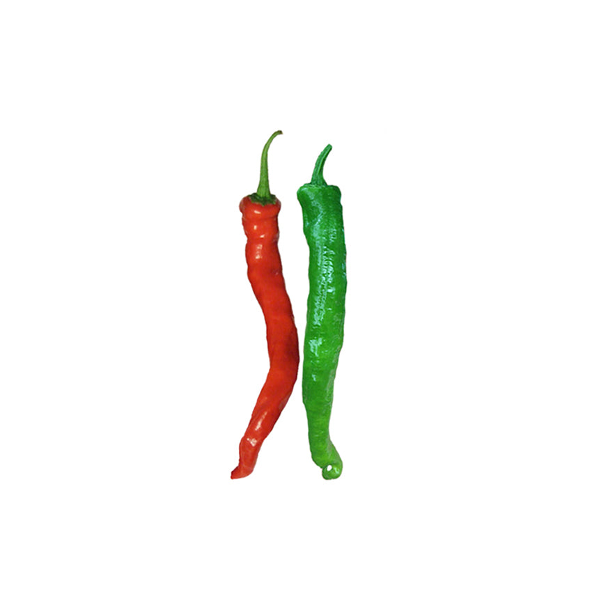 Fushimi Sweet Pepper Seeds - Japanese Heirloom - Crisp Texture peppers in red and green, showcasing ripening stages for home gardening.