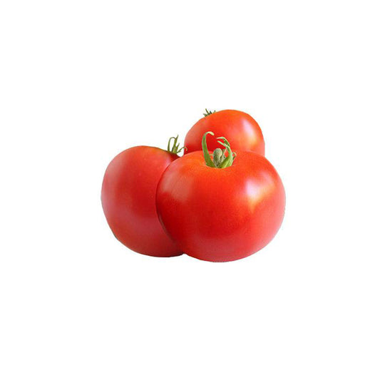 Glacier Tomato Seeds - Heirloom, Rich Flavor and Fast Yield - ON SALE
