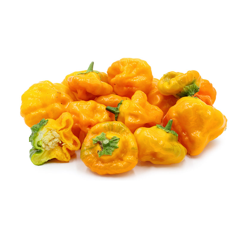 Jamaican Hot Yellow Heirloom Pepper 10 Seeds - Extreme Heat