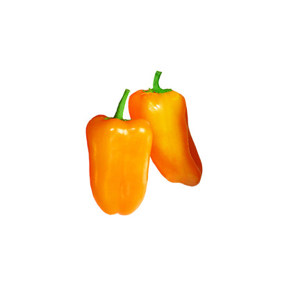 Mini Orange Pepper Seeds - Sweet Snacking Size - Heirloom