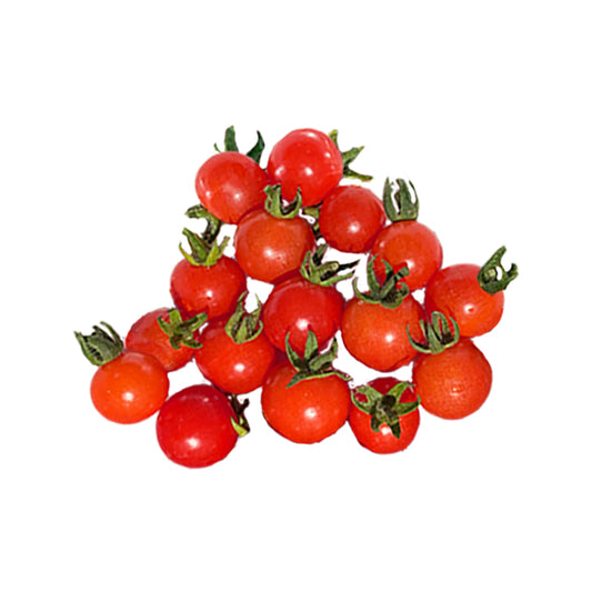 Mexico Midget Tomato Seeds produce clusters of tiny, vibrant red cherry tomatoes with heirloom flavor, ideal for home gardens and fresh snacking.