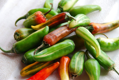 Fish Pepper Seeds - Variegated Foliage and Striped Peppers