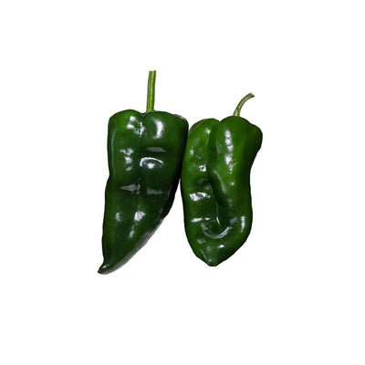 Poblano Ancho Gigantea Pepper Seeds-  A Sweet, Mild Heirloom Pepper