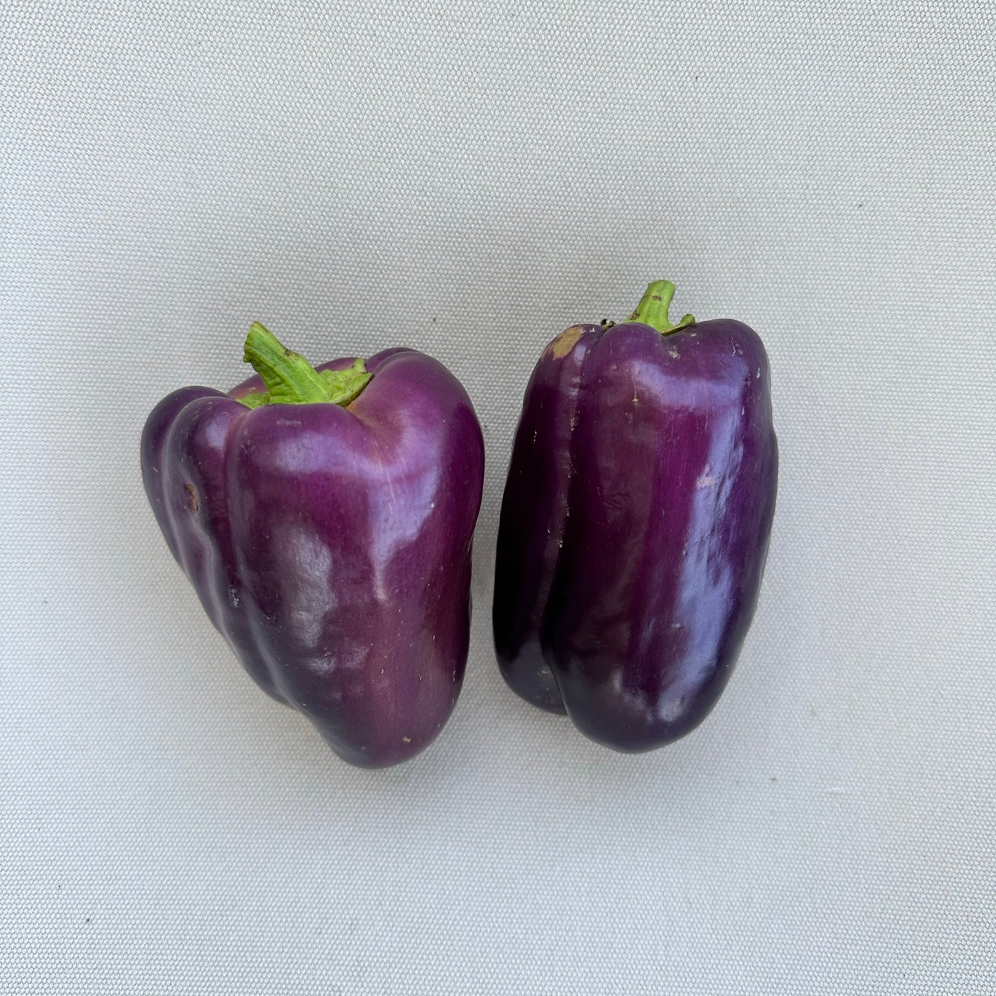 Bell Purple Beauty Sweet Pepper Seeds
