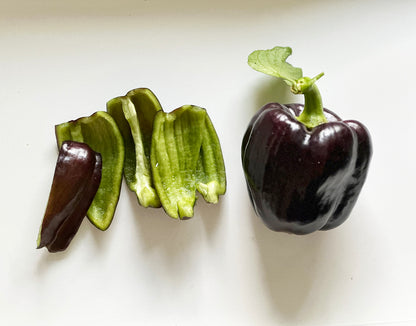 Purple Beauty Bell Seeds - Sweet Pepper - Fun to Grow
