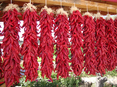 Multiple ristras of dried Hatch Red X Hot - Ms. Junie chile peppers hanging outdoors, showcasing traditional New Mexico chile drying.