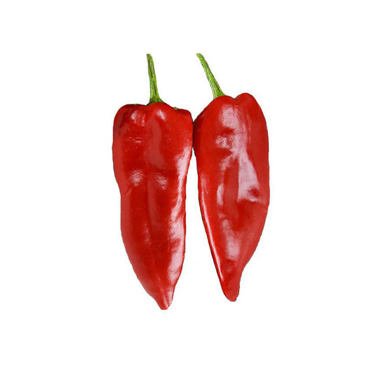 Stocky Red Roaster Seeds produce thick, sweet red peppers ideal for frying; shown are two ripe, glossy red peppers with green stems.