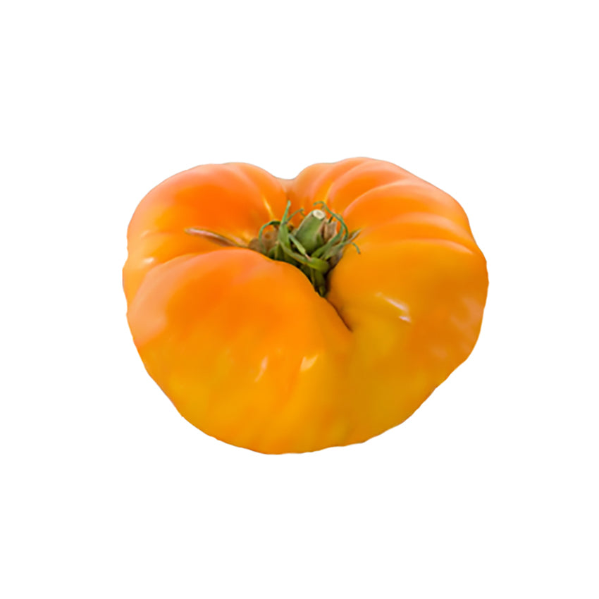 Striped German Tomato with yellow and red marbled skin, known for its sweet fruity flavor and heirloom beefsteak variety.