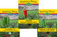 3 Pack - Jalapeño Early, Serrano Tampiqueno & Fresno Seeds 15% Off