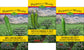 3 Pack - Big Jim, Sandia Select & Barker's Hot - Green Chile Seeds -15% Off
