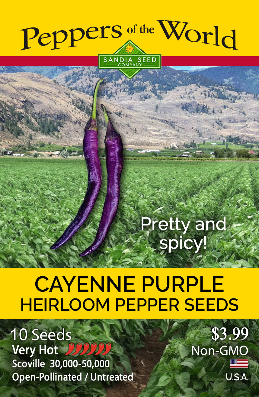 Cayenne Purple Pepper Seeds