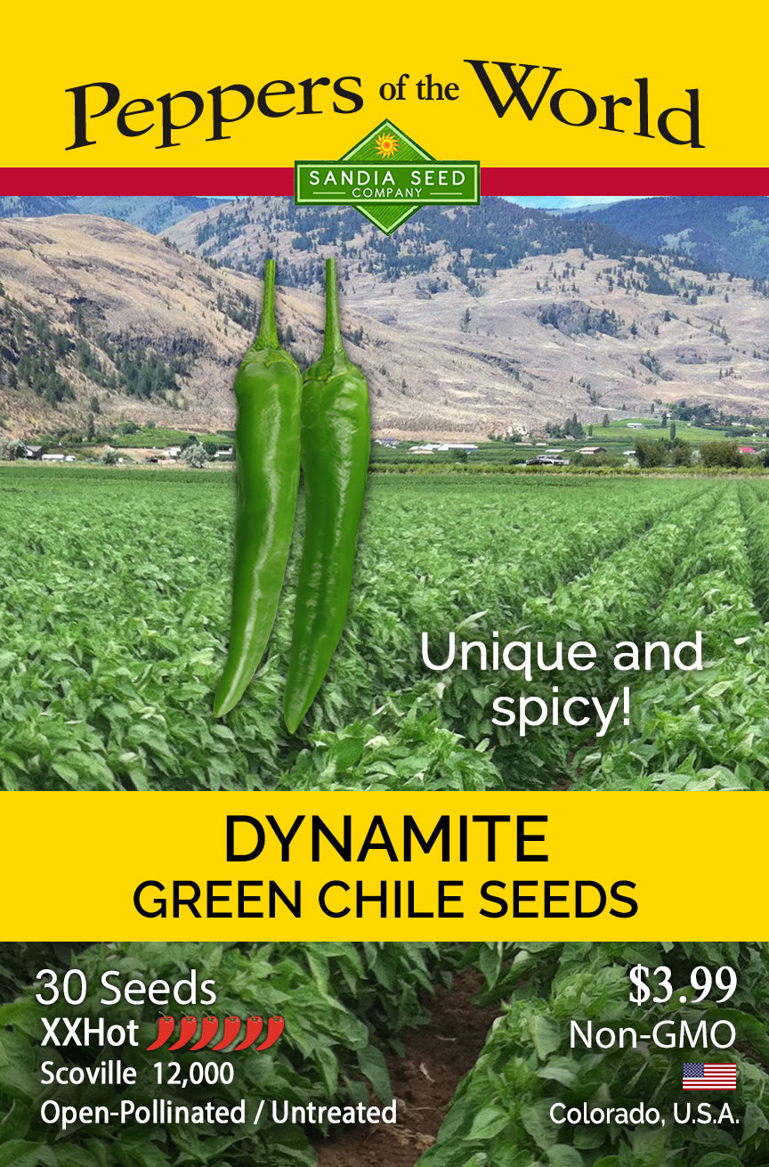 Dynamite XXHot Green Chile Seeds