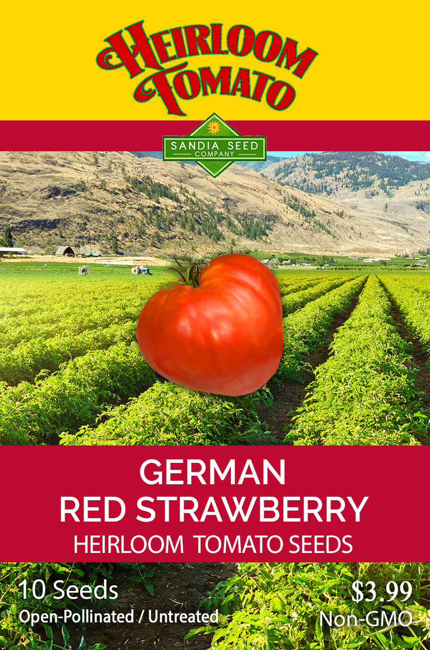 German Red Strawberry Tomato Seeds