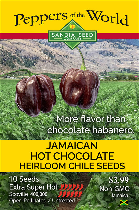 Jamaican Hot Chocolate Habanero Seeds