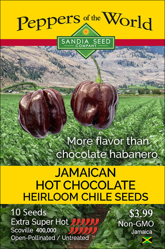 Jamaican Hot Chocolate Habanero Seeds Sandia Seed Company