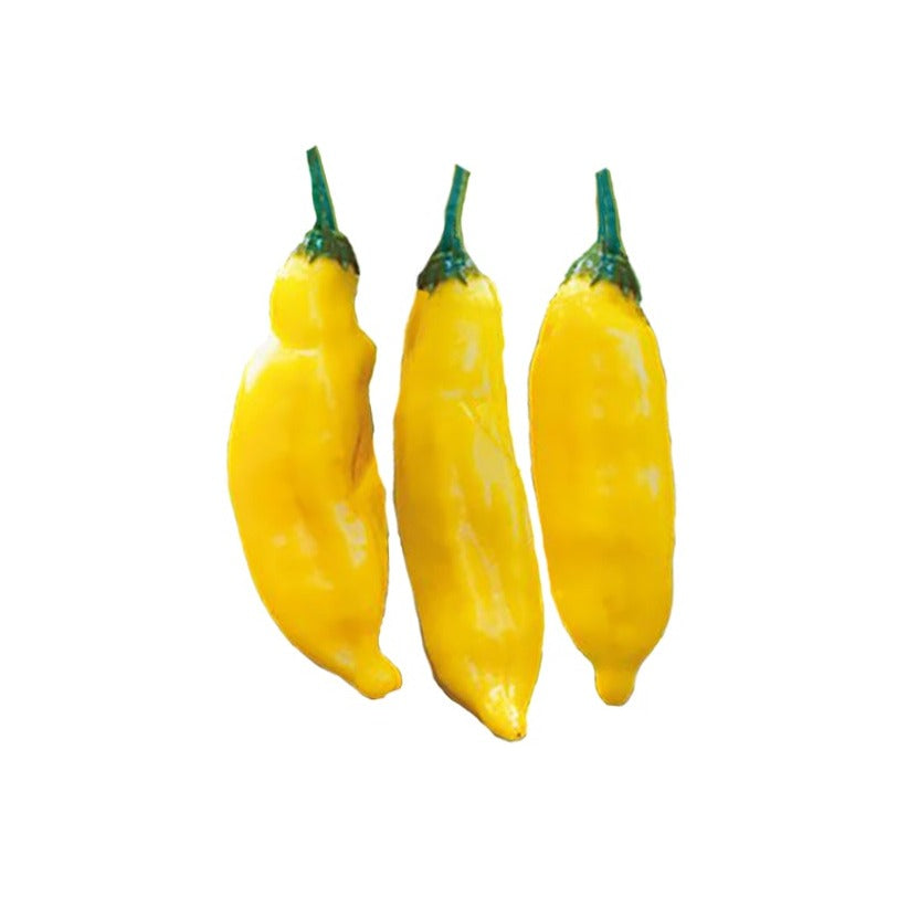 Aji Limo / Lemon Drop Pepper Seeds - Sandia Seed Company