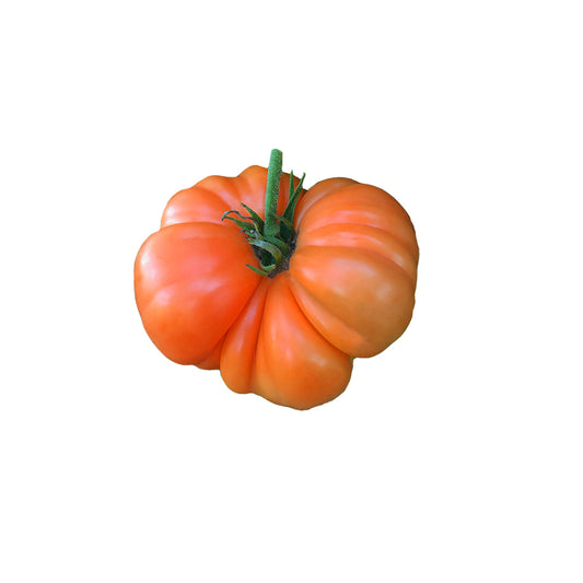 Tomato - Amana Orange Heirloom Seeds