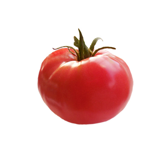 Tomato - Arkansas Traveler Heirloom Seeds