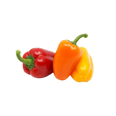 Bell Mini Mix Seeds produce sweet snack peppers in red, yellow, and orange. Ideal for home gardens and container growing.