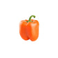 Bell Orange Coral Pepper Seeds