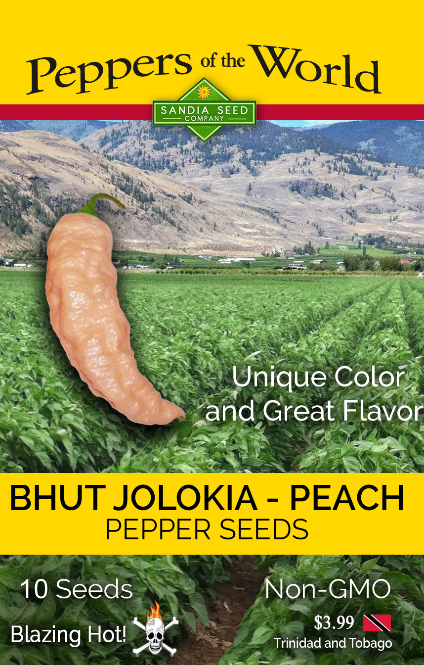 Bhut Jolokia Peach Seeds - Sandia Seed Company