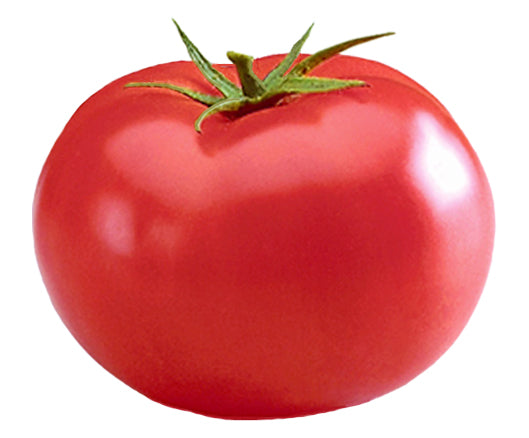 Tomato - Big Beef Hybrid Seeds - Sandia Seed Company