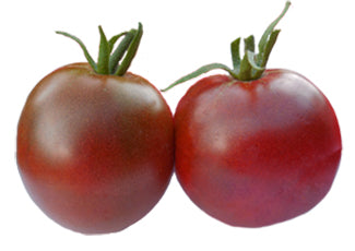 Tomato - Black Prince Heirloom Seeds ORG - Sandia Seed Company