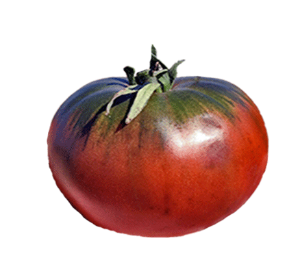 Tomato - Cherokee Purple Heirloom Seeds ORG - Sandia Seed Company