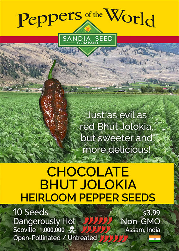 Bhut Jolokia Chocolate Seeds