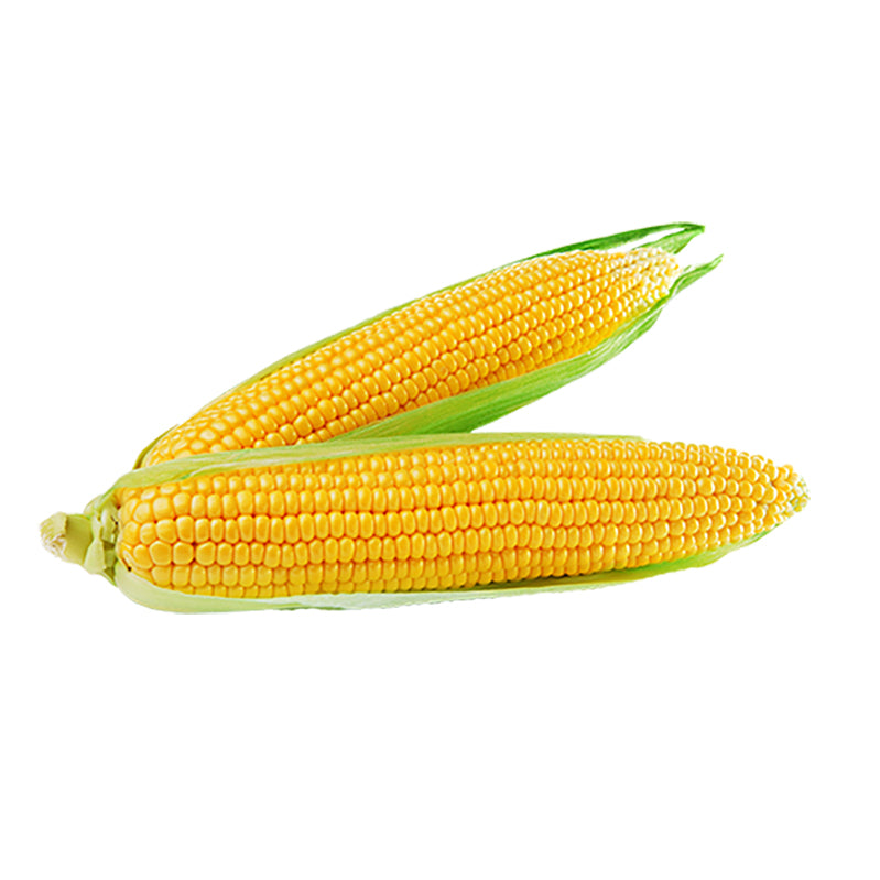 Corn - Golden Bantam Heirloom Seeds