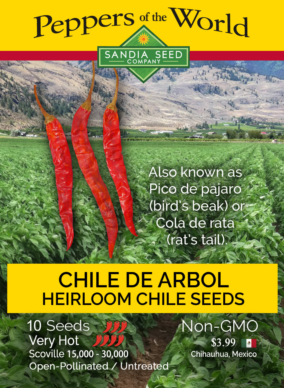 Chile de Arbol Seeds - Sandia Seed Company