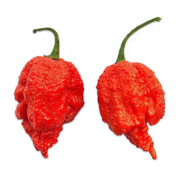 Dragon's Breath Pepper Seeds – Sandia Seed Company