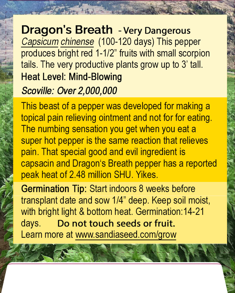 Dragon's Breath Pepper Seeds from SandiaSeed.com