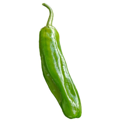 NuMex Española Improved Chile Seeds medium hot short season