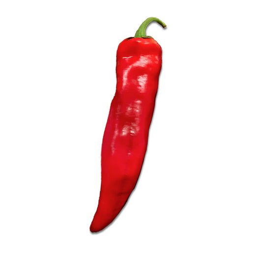 Mirasol Giadone Pueblo Chile Seeds