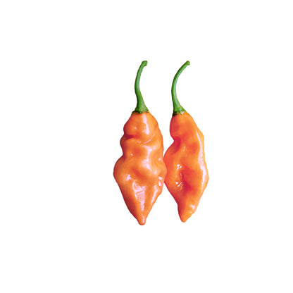 Habanada No-Heat Habanero Seeds