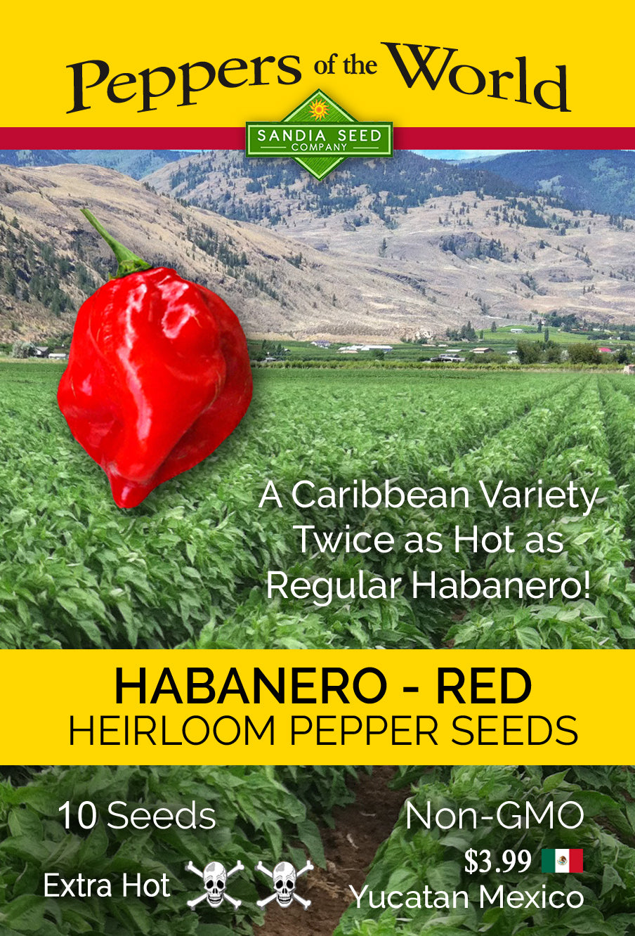 Habanero Caribbean Red Seeds - Sandia Seed Company